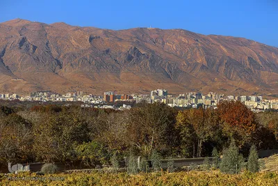 پاییز در باغ‌های بلوار شهید چمران شیراز‎‎