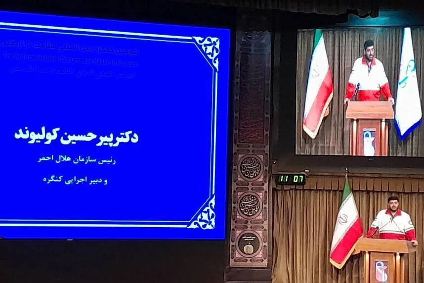 تقویت بنیه علمی سلامت در اربعین با ارتقای دیپلماسی سلامت زائر محور