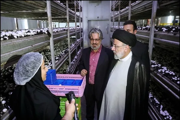 رئیس‌جمهور از بزرگترین مزرعه پرورش قارچ کشور بازدید کرد