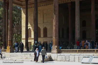 نرگس صمدزاده