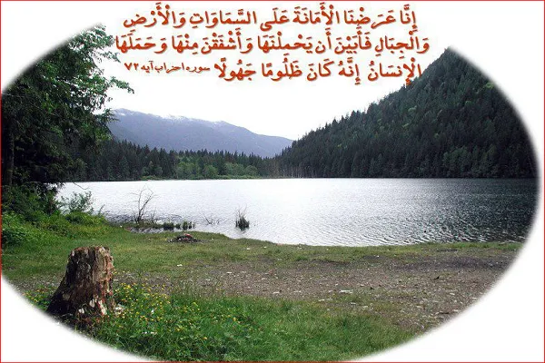 Kanada’da  