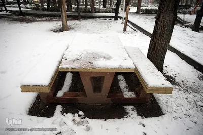 بارش برف زمستانی در تهران