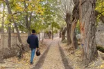 طبیعت پاییزی شهمیرزاد‎