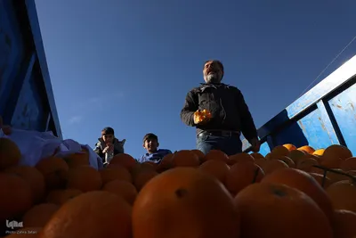 تکاپوی خرید شب یلدا در اهر
