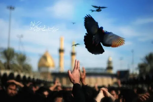 رهایی زندانی محکوم به قصاص هرمزگانی در روز اربعین