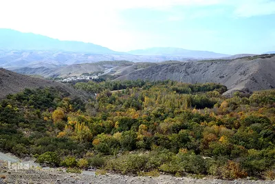 طبیعت زرد در کنار رودخانه خروشان زاینده‌رود