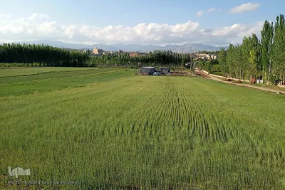 طبیعت بهاری شهرستان اهر در یک نگاه