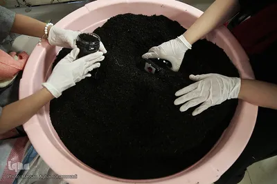 پویش کریمانه خیرین و اعضای داوطلب طرح هم نمک با هدف توزیع ۵۰۰بسته حمایتی اقلام ضروری غذایی میان خانواده های بی سرپرست و محروم تحت پوشش این موسسه در استان تهران