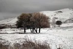 بارش برف پاییزی در ارتفاعات و مناطق روستایی اهر