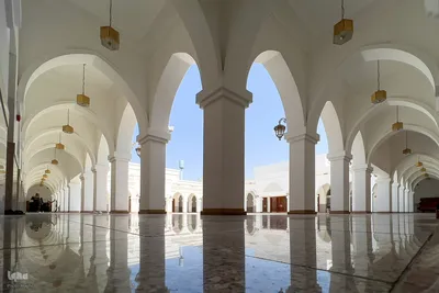 زیارت دوره زائران در مدینه منوره