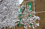 بارش اولین برف زمستانی در اراک