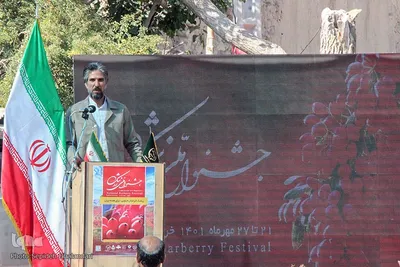 جشنواره ملی زرشک در خراسان جنوبی