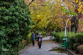 یک روز پاییزی بارانی