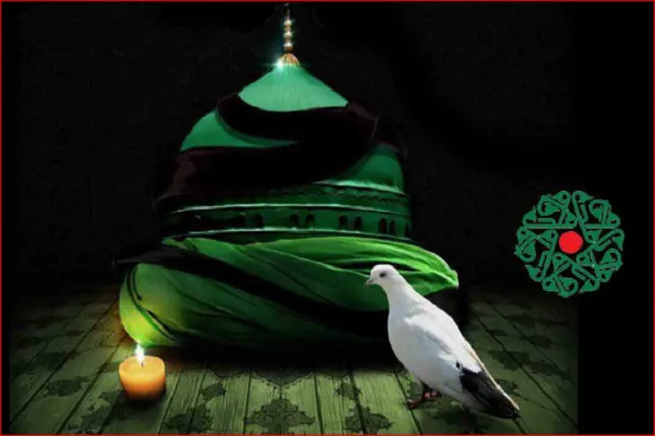 مسلمانان اتریش در سوگ پیامبر رحمت + عکس