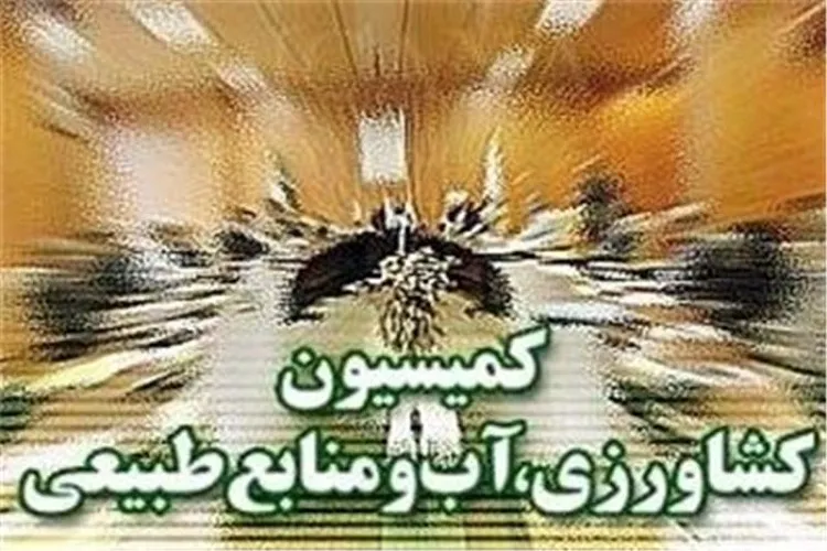 بررسی تبعات حذف ارز ترجیحی در کمیسیون کشاورزی / عضو فقهای شورای نگهبان به کمیسیون قضایی می‎رود