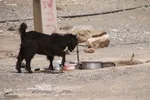خدمت جهادی در مناطق محروم سیستان و بلوچستان