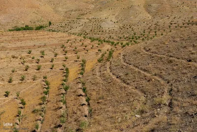 بیست و هفتمین توررسانه ای دانش بنیان سازمان تات