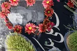 پنجشنبه آخر سال در باغ بهشت همدان‎