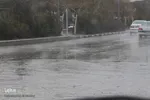 بارش باران در بیرجند