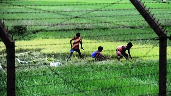 বাংলাদেশ সীমান্তের অর্ধেকে বেড়া নির্মাণ শেষ করেছে ভারত