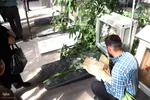 میثاق با شهدای جهاددانشگاهی