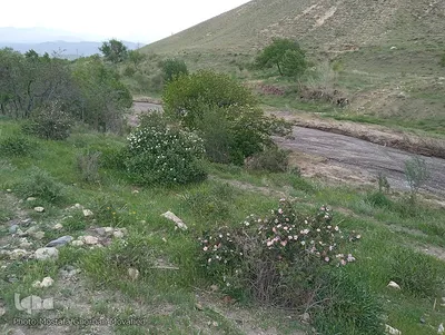 طبیعت زیبا و سحرانگیز مناطق گردشگری و روستایی اهر
