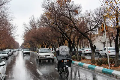 بارش اولین برف زمستانی رخت سفید بر تن ییلاقات استان یزد