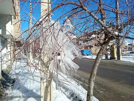 طبیعت زمستانی و روزهای سرد شهرستان اهر