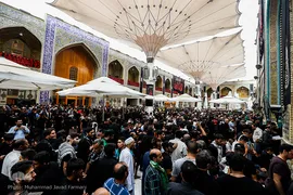 حرم حضرت علی(ع) میعادگاه راهپیمایان اربعین حسینی
