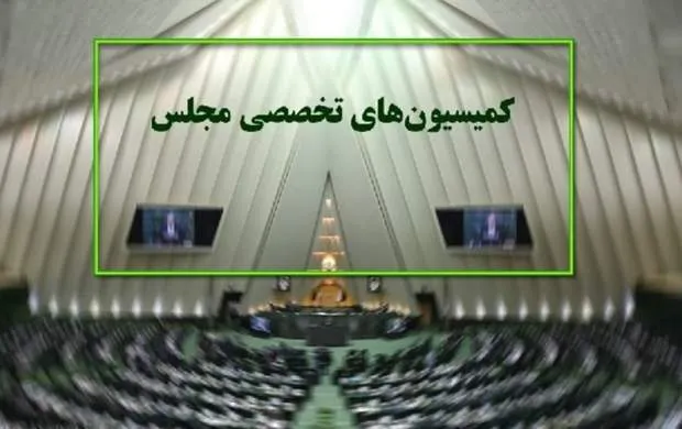اعتبارات حوزه فرهنگ در کمیسیون فرهنگی بررسی می‌شود