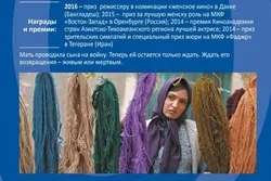 Der iranische Film 