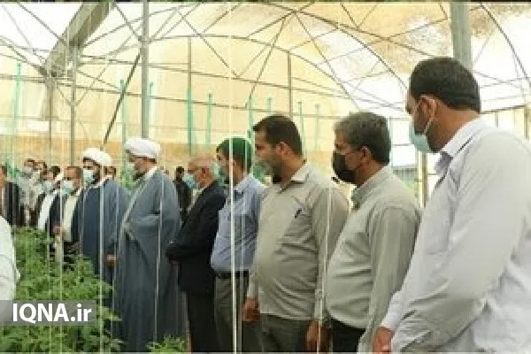 اجرای طرح‌های گلخانه‌ای موجب اشتغالزایی برای جوانان است