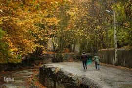 پاییز در جاغرق