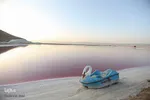 ۱۵ اردیبهشت؛ روز شیراز