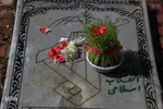 آخرین پنجشنبه سال/عکاس: پریسا بهزادی