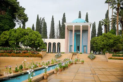 یاد روز سعدی