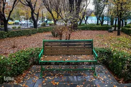 یک روز پاییزی بارانی