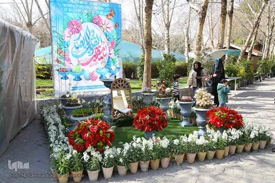 رونق بازار گل و گیاه در آستانه بهار