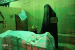 نمایشگاه فاطمی یاس پهلو شکسته در تبریز
