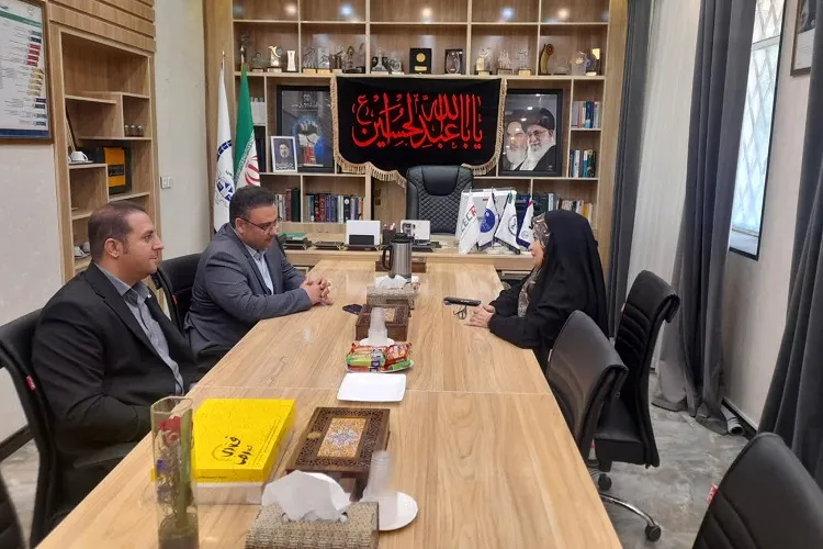 بازدید
