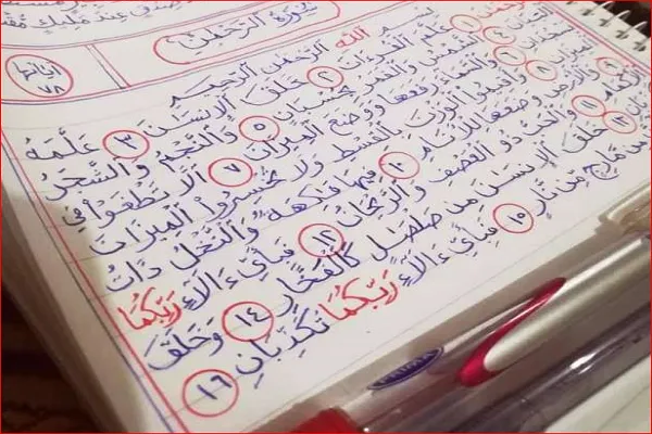 Tükenmez kalemle Kur’an-ı Kerim’i yazdı