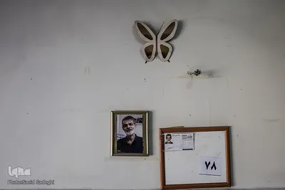 قاب زندگی