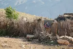 کوچ عشایر در فارس‎