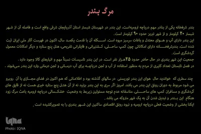 مرگ بندر