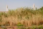 نمایی متفاوت که خشکسالی رودخانه کارون روبروی پل کابلی اهواز را نشان می‌دهد.