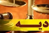 حمایت از ستاد دیه ضرورت اجتماعی است