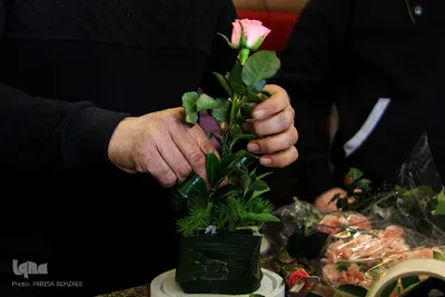 به بهانه روز مادر/عکاس: پریسا بهزادی