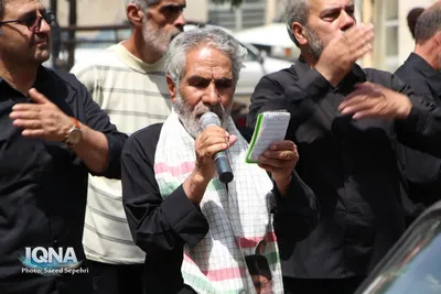 دسته عزاداری روز شهادت امام رضا(ع) در ملایر