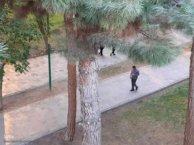 ریشه در خاک، سمبل مقاومت و ایستادگی