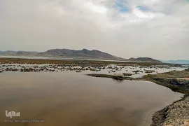 تالاب بین‌المللی کمجان فارس